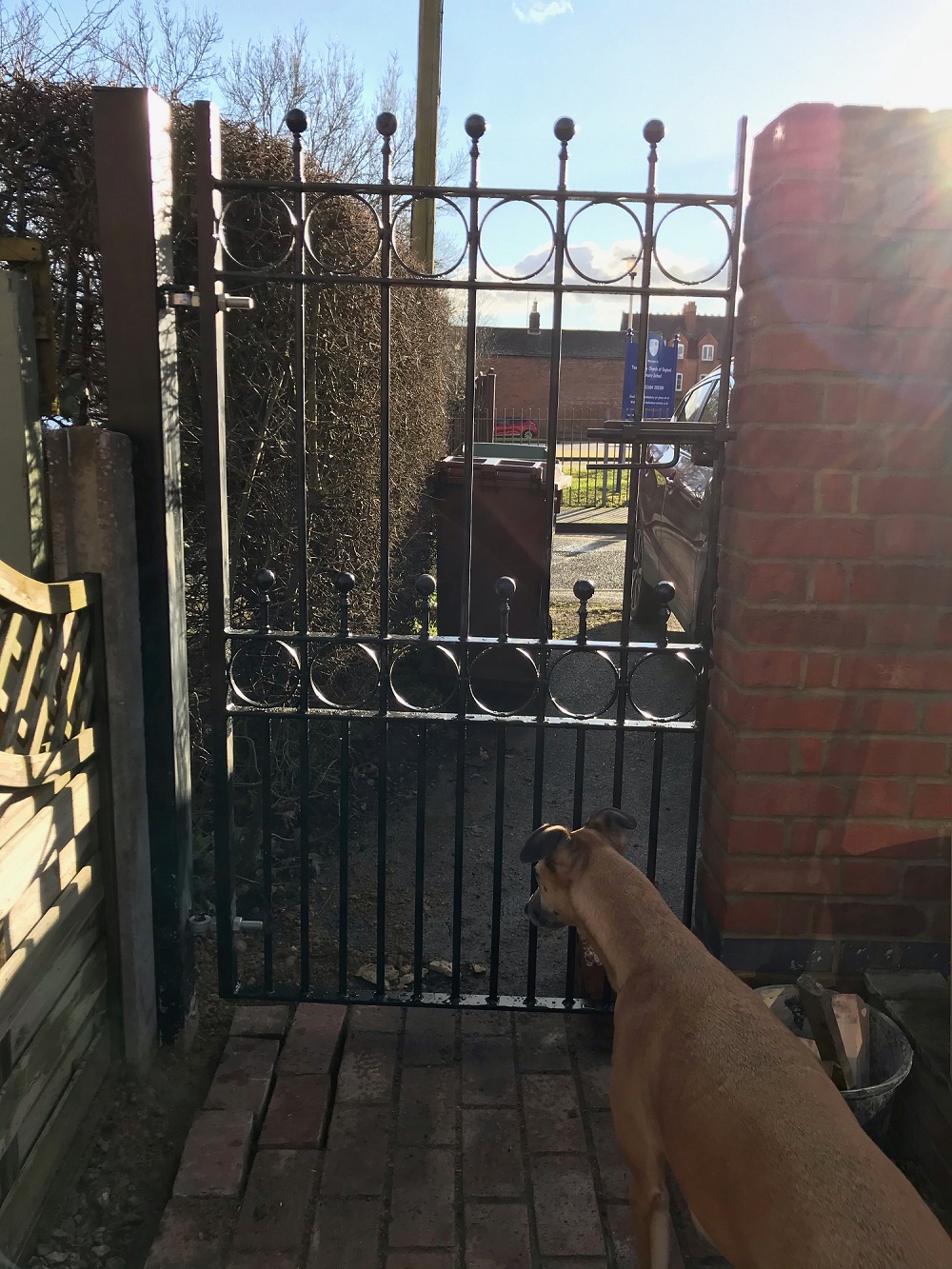 Royale Talisman side gate with ball top finials